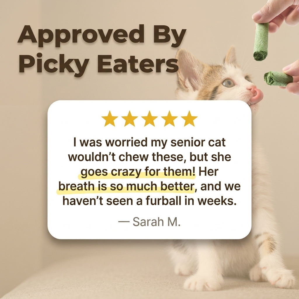 Cat Grass Teething Sticks - Tasty Dental Treats For Happier Cats