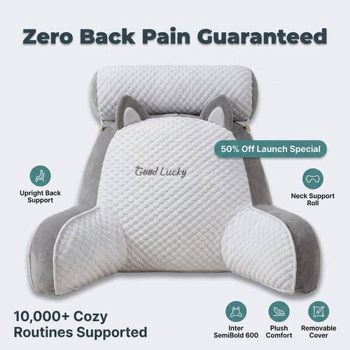 Back & Neck Comfort Pillow — Cloud-Like Support For Bed, Sofa & Floor Relaxation