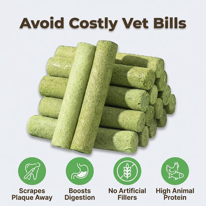 Cat Grass Teething Sticks - Tasty Dental Treats For Happier Cats