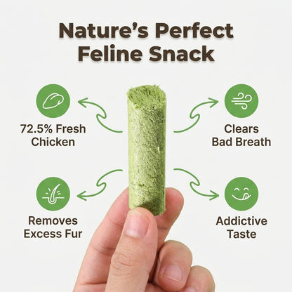 Cat Grass Teething Sticks - Tasty Dental Treats For Happier Cats