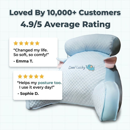Back & Neck Comfort Pillow — Cloud-Like Support For Bed, Sofa & Floor Relaxation