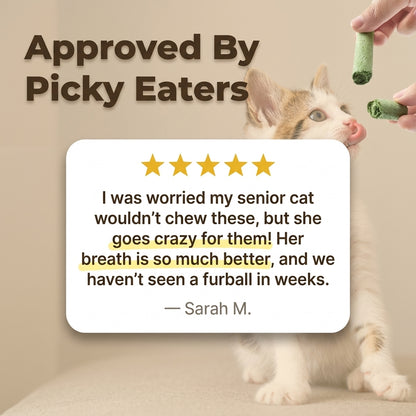 Cat Grass Teething Sticks - Tasty Dental Treats For Happier Cats